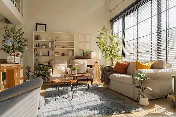 Living Area Cleaning Yonkers